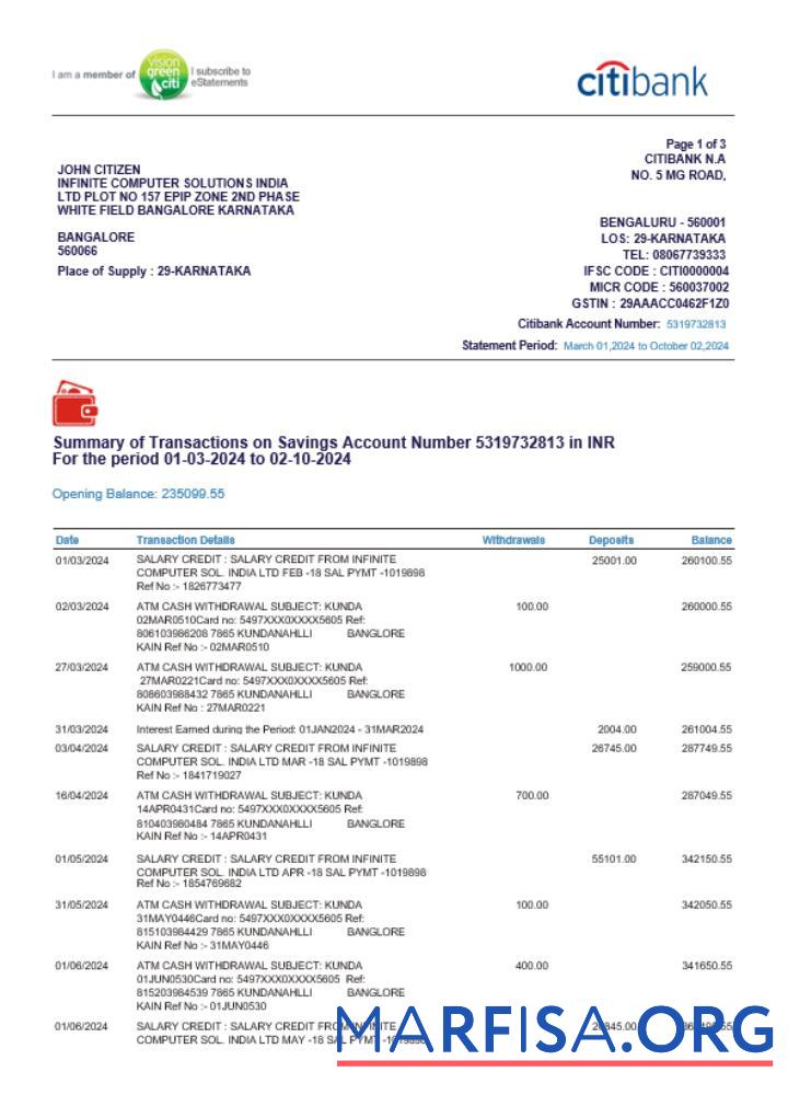 Blank India Citibank bank statement word download for verification